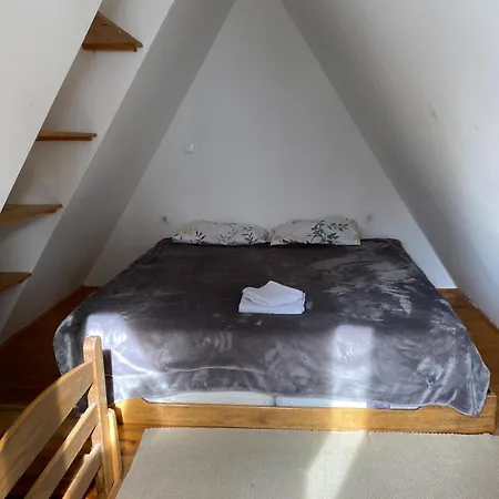 Dd Leon Vikendica * Kopaonik
