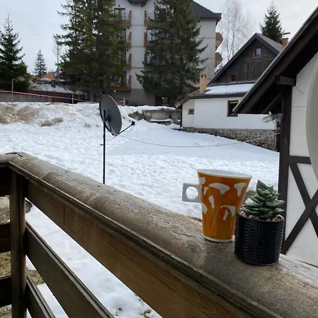 Dd Leon Vikendica Holiday home Kopaonik